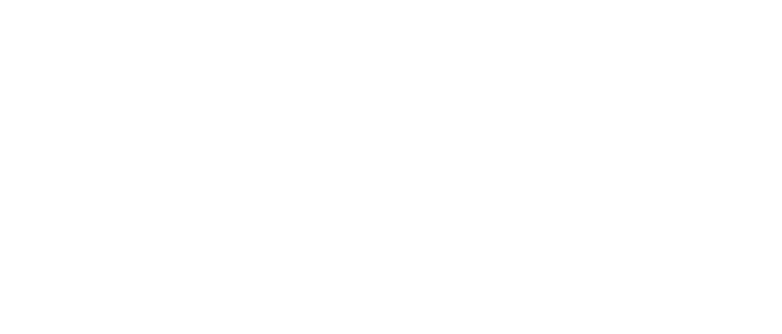 Novomatic™ (Gaminator) — Novomatic